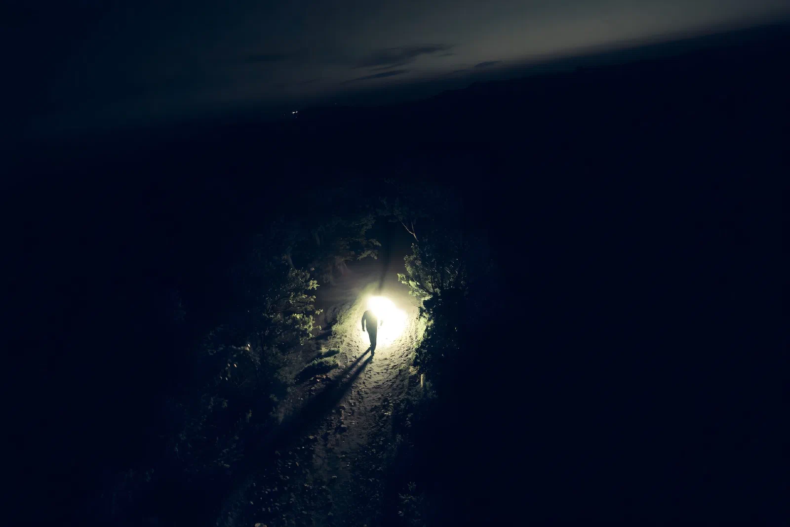 A figure with a flashlight running through a forest in the dark.